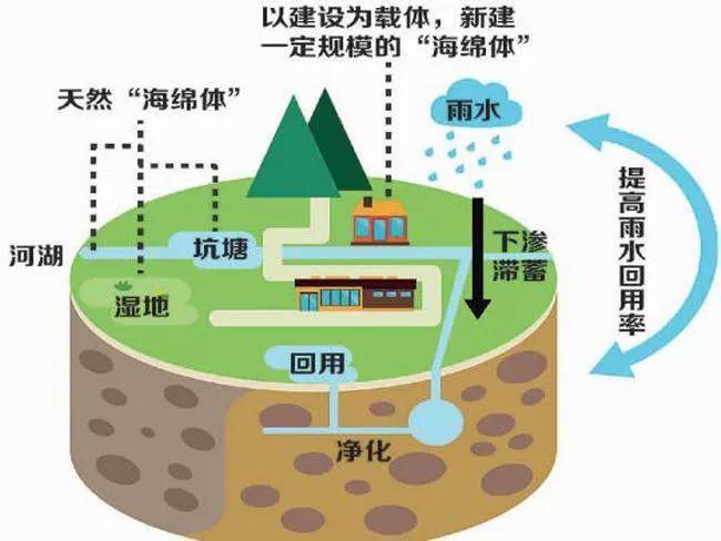 雨水收集利用系統(tǒng)都被應(yīng)用到什么領(lǐng)域？
